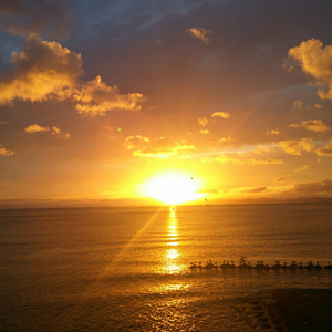 欧美成人一二区福利视频
