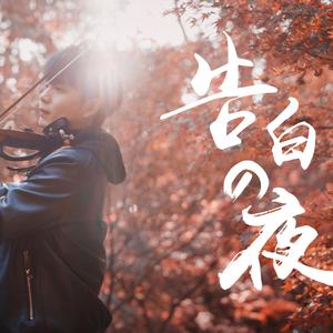 欧美成人一二区福利视频
